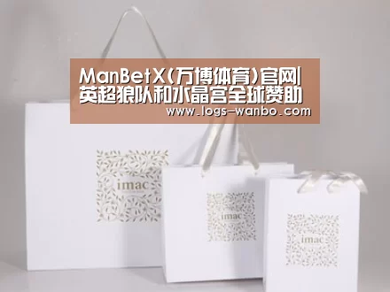 项目名称十一