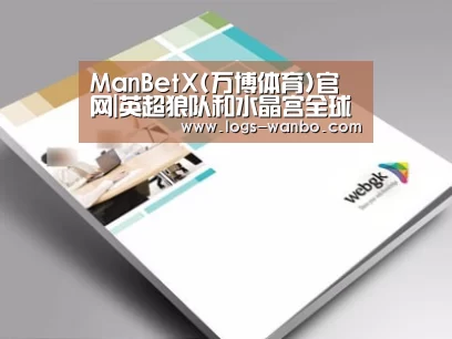 项目名称九