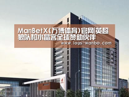 案例展示七